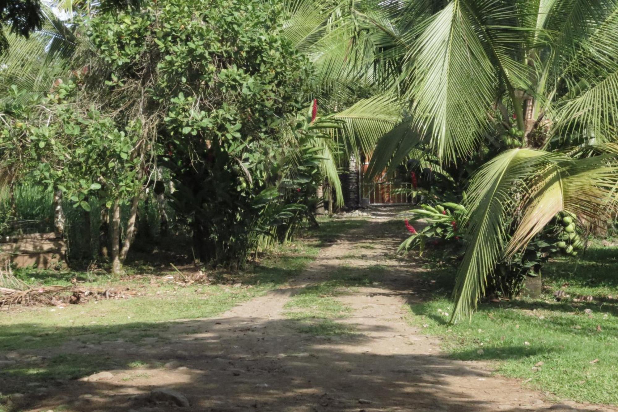 Farm stay Vocare Agroecologica Upala